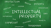 Hungary intellectual property rights investigator